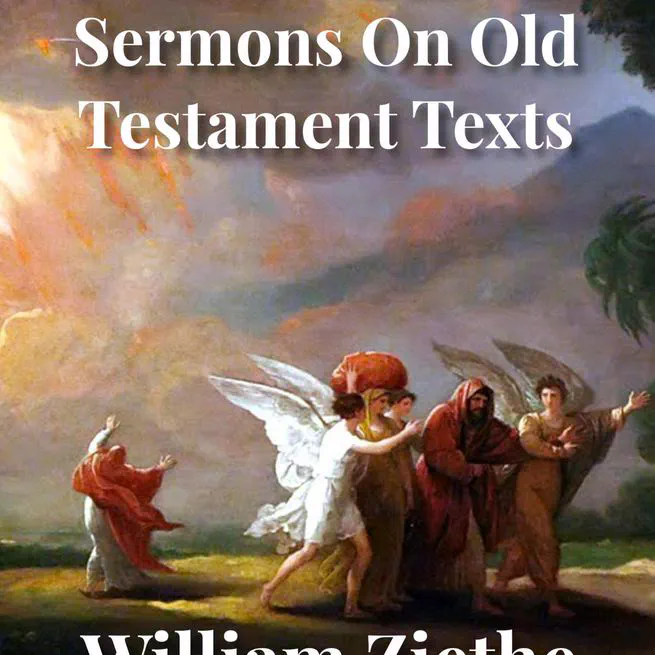 Siloah: Sermons on Old Testament Texts as Parallels to the Gospels of the Church Year by William Ziethe