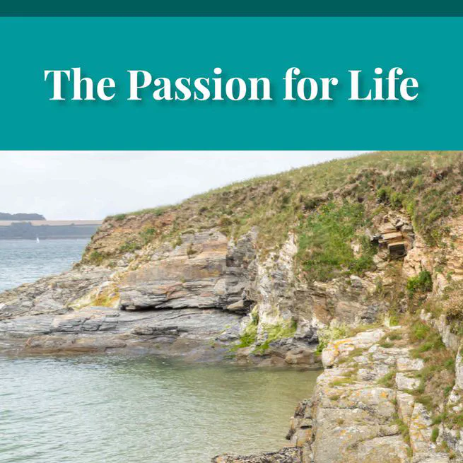 The Passion for Life by Joseph Hocking