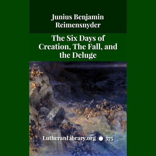 The Six Days Of Creation, The Fall, And The Deluge by J B Remensnyder