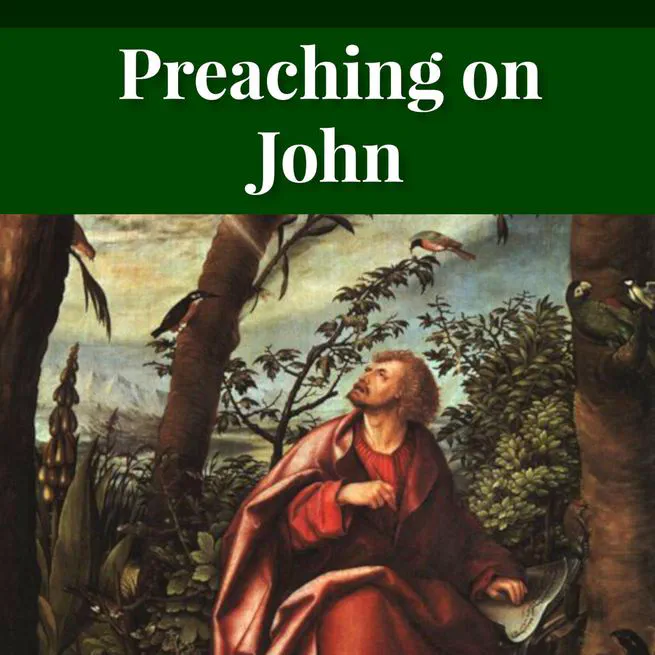 Preaching on John by R C H Lenski