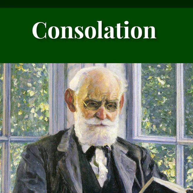 Consolation: Discourses to the Suffering Children of God by James Alexander