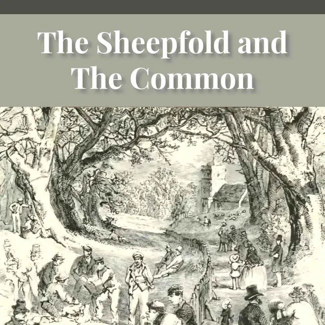 The Sheepfold and The Common or 'The Evangelical Rambler' by Timothy East