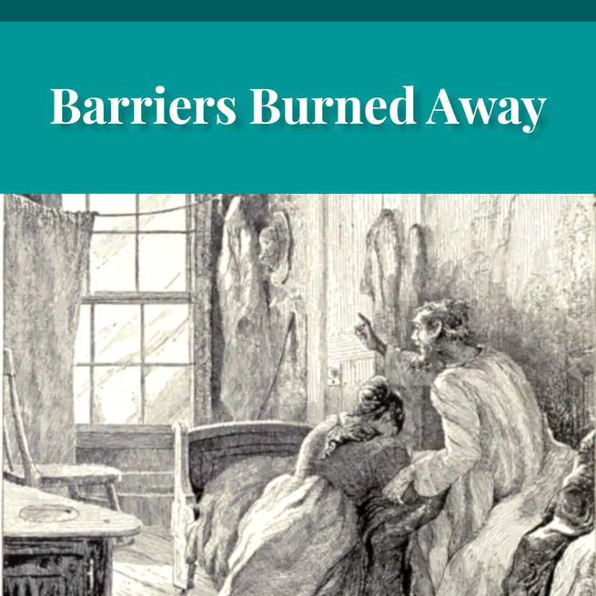 The Great Chicago Fire: Barriers Burned Away by Edward Roe