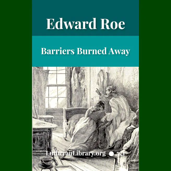 The Great Chicago Fire: Barriers Burned Away by Edward Roe