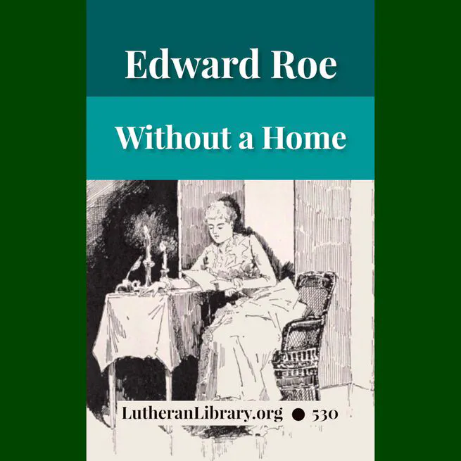 Without a Home by Edward Roe