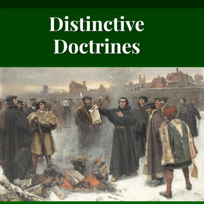 Distinctive Doctrines by Karl Graul