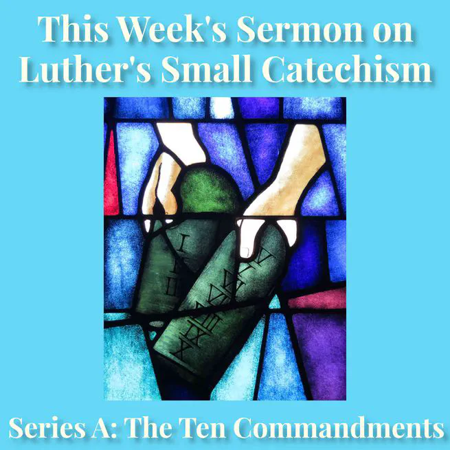 [A15] The Sacred Mystery of Human Life (The Small Catechism)