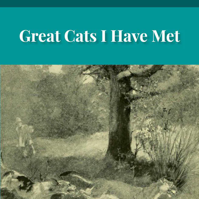 Great Cats I Have Met by William Thomson