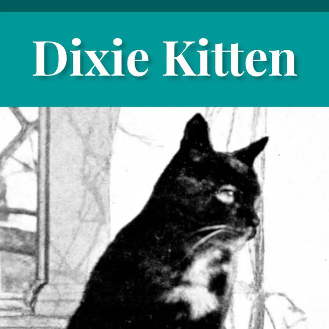 Dixie Kitten by Eva March Tappan