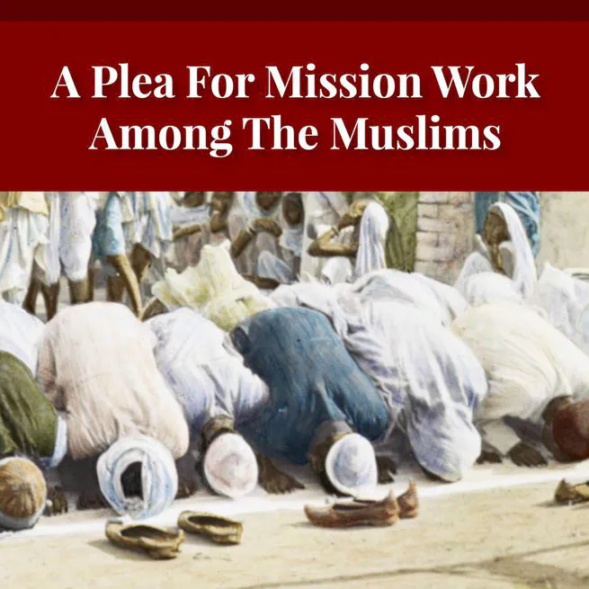 'It Is The Will Of God!' Mission Work in Islamic Lands by William Tisdall [Journal Article]